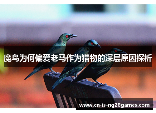 魔鸟为何偏爱老马作为猎物的深层原因探析