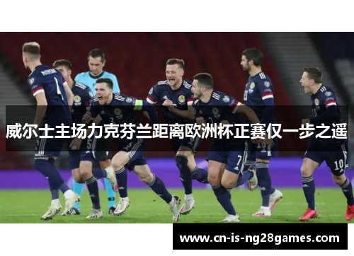 威尔士主场力克芬兰距离欧洲杯正赛仅一步之遥