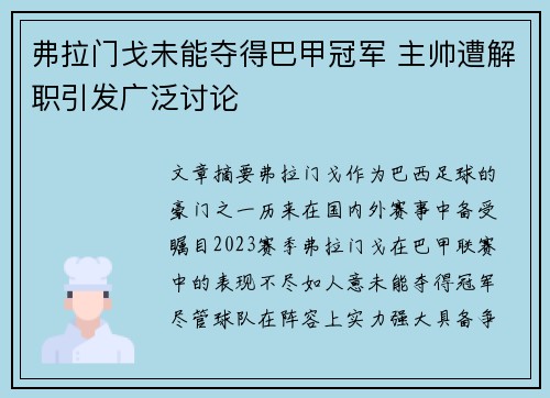 弗拉门戈未能夺得巴甲冠军 主帅遭解职引发广泛讨论 弗拉门戈未能夺得巴甲冠军 主帅遭解职引发广泛讨论